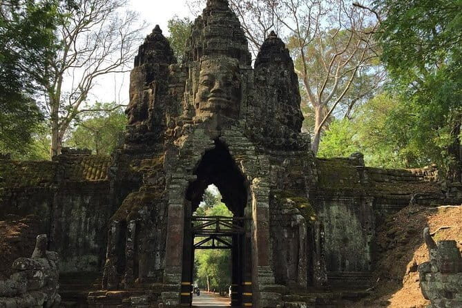 1 Day Angkor Wat with Sunrise Tour - Ta Prohm: Jayavarman VII, a Temple Dedicated to His Mother