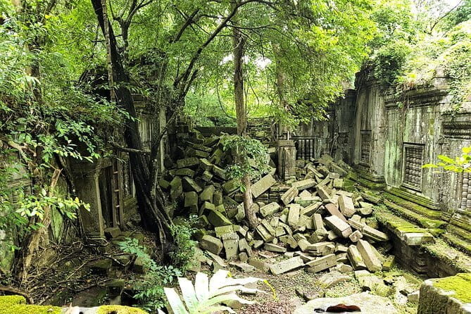 1 day special Tour: Angkor Wat,Bayon,Ta Prohm, Bantey srei and Beng Mealea - Quick take: what makes this tour work