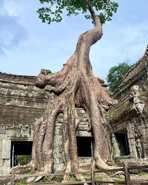 1-Day Trip to Angkor Wat with a Private or Shared Guide in Spanish - Angkor Wat: The Big One, Guided for Meaning, Not Just Photos