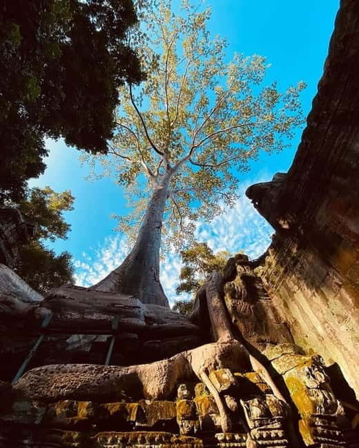 1-Day Trip to Angkor Wat with a Private or Shared Guide in Spanish - Price and Value: What You’re Paying For (and What You’re Not)