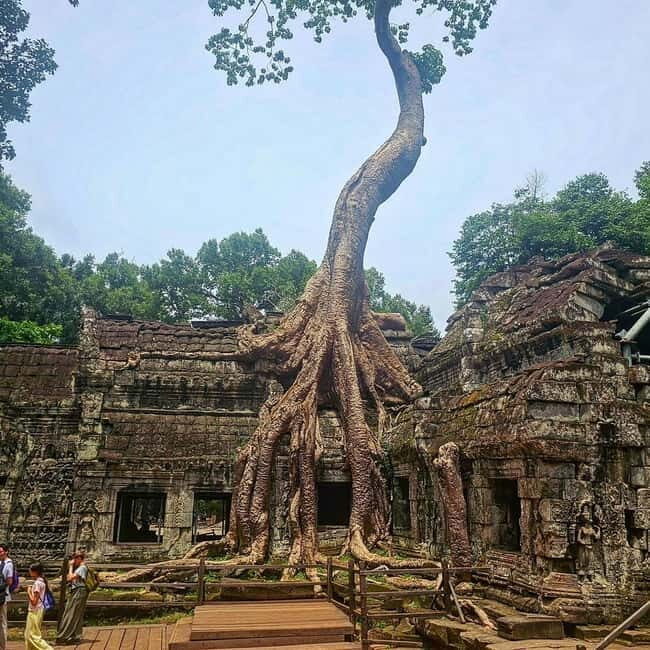 1-Day Trip to Angkor Wat with a Private or Shared Guide in Spanish - Meeting Point, Tickets, and the Real Schedule Behind the Day