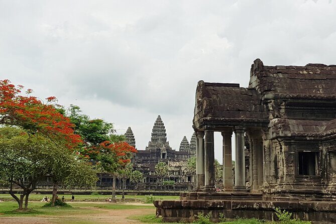 1day private tour to all majestic Temples in Angkor and Sunset - Ta Prohm: the jungle temple that rewards slow steps