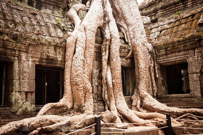 2-Day Siem Reap Angkor Bicycle Experience - Price and Logistics: What $60 Covers, What Costs Extra