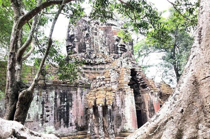 2 Days | Angkor Wat Phnom Kulen & Beng Mealea Tour - Ta Prohm and Ta Nei: when ruins meet roots and you slow down