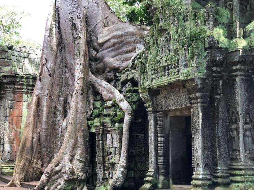 3-Day Exploring Angkor Wat & Siem Reap Highlights Tour. - Day 3: Kompong Phluk on Tonle Sap, Wat Thmei’s Khmer Rouge History, and Old Market Time