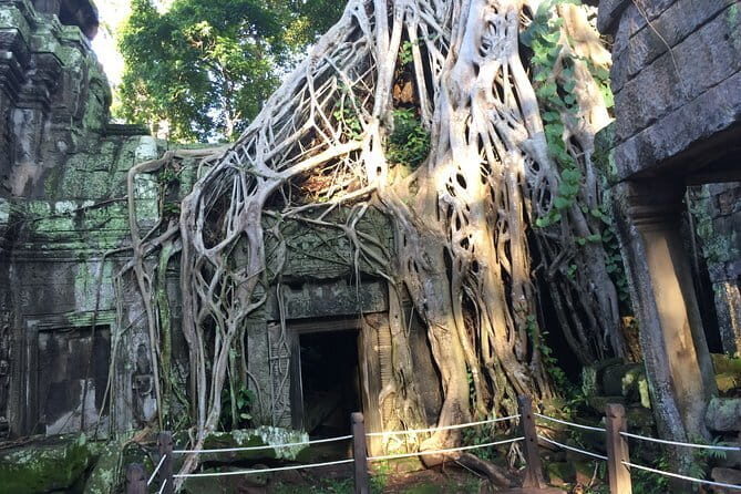 3 Days Private Trip to Angkor Wat from Siem Reap - Bayon, Baphuon, and the Royal Terraces That Explain Angkor