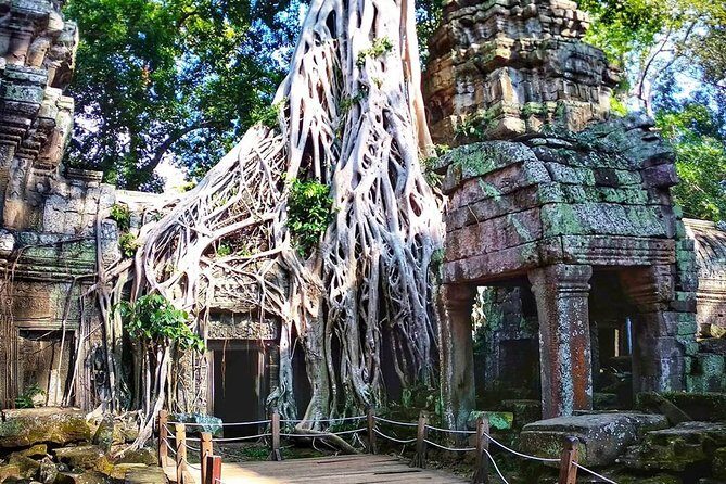 4-Day Tour(The Amazing Face, Jungle of Temple & Holy Clay) - The Roluos group: Bakong, Preah Ko, and Lolei for calmer wandering