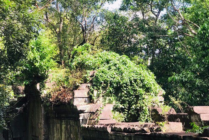 4 Days | Angkor Wat & Preah Vihear Tours - Price and value: what $444 buys you (and what you’ll pay separately)