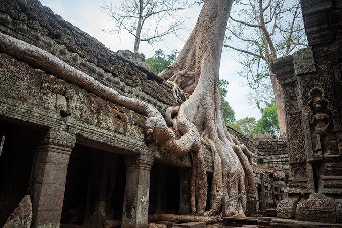 6-hour Angkor Sunrise & Private Tour (Solo, Couple & Family ) - Angkor Thom, Bayon, and Preah Palilay: The City Within the City