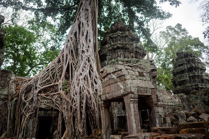 6-hour Angkor Sunrise & Private Tour (Solo, Couple & Family ) - Ta Prohm and Ta Nie: When Tree Roots Become Part of the Story