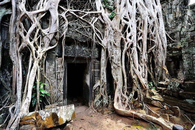 7-must See Temples in Angkor Park (Private Guided Tour) - Pre Rup: short visit, big payback views