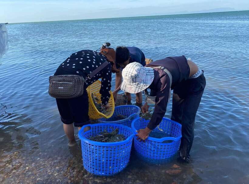 A Day Trip to Kep Beach and Kampot from Phnom Penh - Fish market area and salt production scenes in the Kampot region