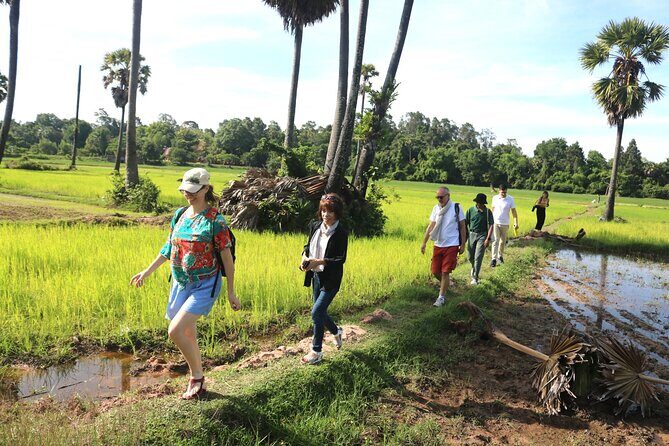 A Morning in the Cambodian countryside - Palm Cakes, Coconut, and Local Tastes You Can Actually Remember