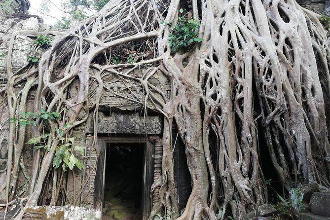 Afternoon Angkor Wat Private Tour with Sunset - Stop 4: Angkor Thom South Gate (Tonle Oum) and the city gates