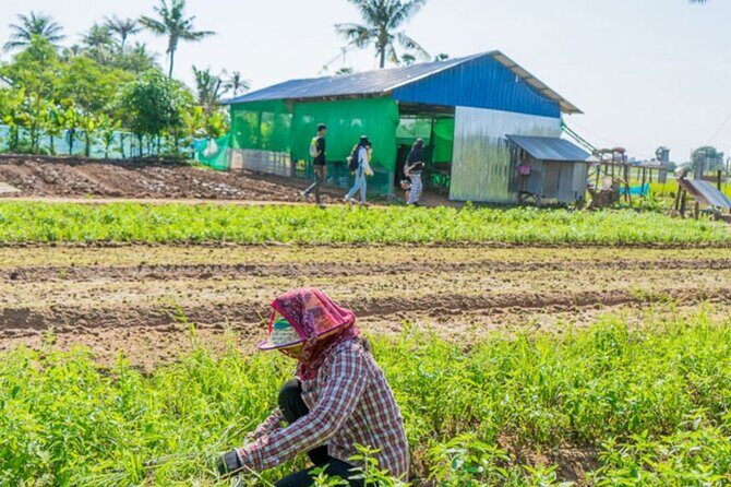 Afternoon Cooking Class & Village Tour in Siem Reap - Village tour and farm visits: vegetables, mushrooms, and rice wine