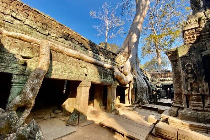 Angkor Cab: Siem Reap 3 day private tour: 'off the beaten track' - Day 2: Angkor Wat sunrise, Angkor Thom gates, and Ta Prohm’s trees