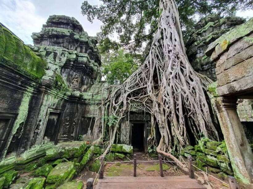 Angkor Cycling Tour - Ta Prohm and the Tomb Raider Feel (With Real Time to Look)