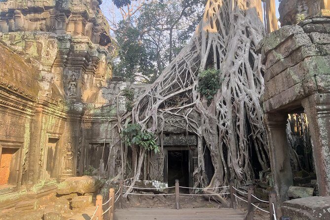 Angkor Discovery 2-Days Of Private Tour - The guide experience: why it matters more than you expect