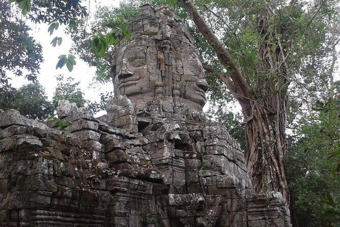Angkor Full Day Tour All The Main Temples - Angkor Thom South Gate and Bayon: Faces, Snake Causeways, and Jungle Noise