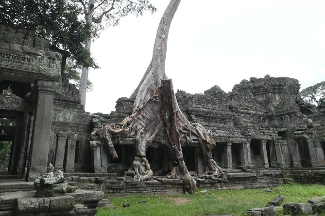 Angkor Grand Circuit Temples Tour - The Angkor Grand Circuit is the smart “big-picture” day