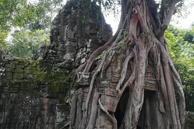 Angkor Grand Circuit Temples Tour - Morning logistics: 8:00am pickup, tickets, and what to wear
