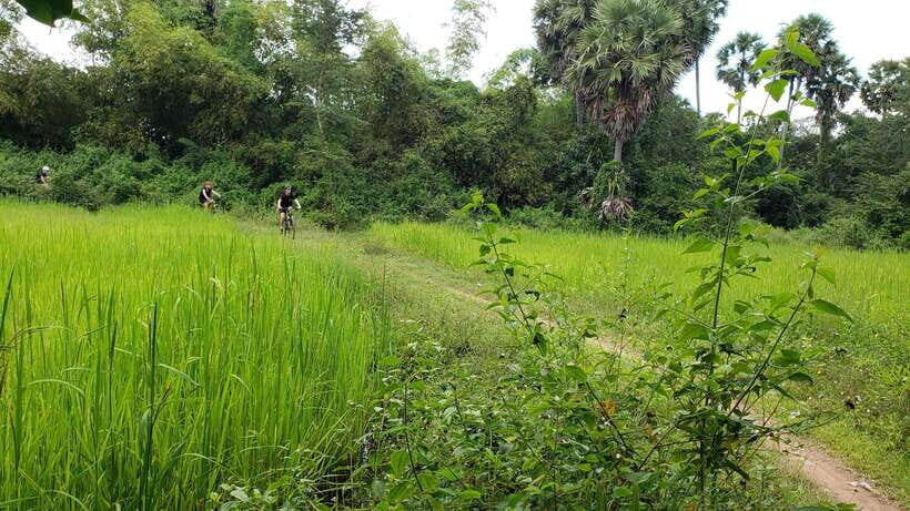 Angkor Jungle Biking Adventure Private Cycling Tour - Angkor Thom and Bayon: seeing the ancient city as you ride through it