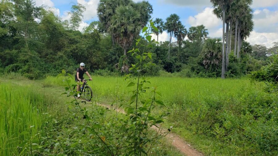 Angkor Jungle Biking Adventure Private Cycling Tour - Royal palace and Terrace of Elephant: the day’s bigger context
