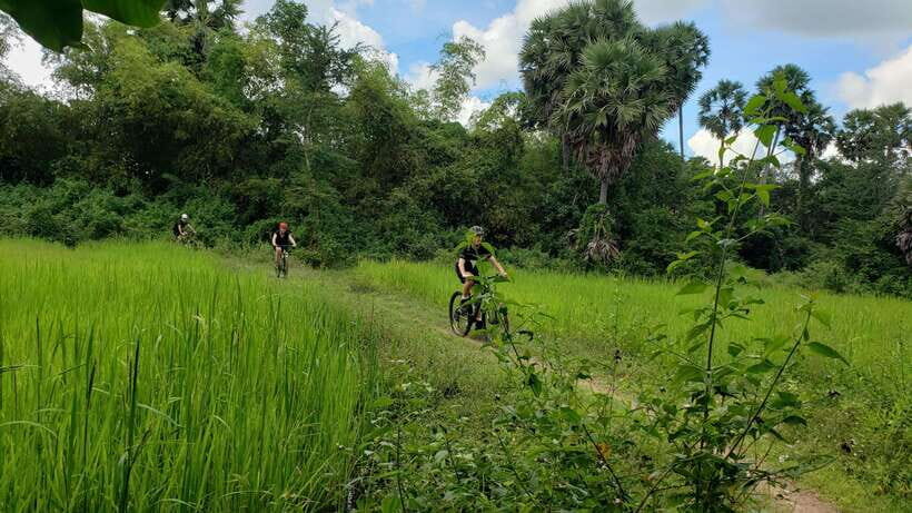 Angkor Jungle Biking Adventure Private Cycling Tour - Lunch inside the Angkor park zone: healthy Khmer food break