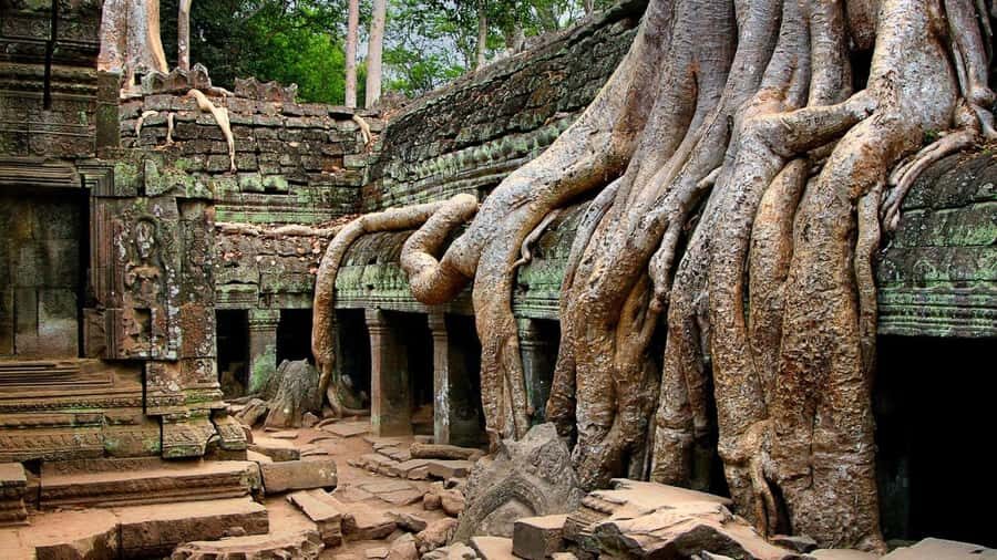 Angkor Region: 3-day Private Tour of Top Temples - Day One: Beng Mealea’s jungle ruins and the Tonle Sap floating village