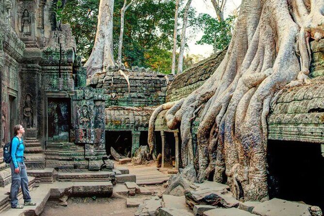 Angkor Sunrise Small Group Tour Inclusive Breakfast and lunch - Price and real value: $65 plus a separate temple fee