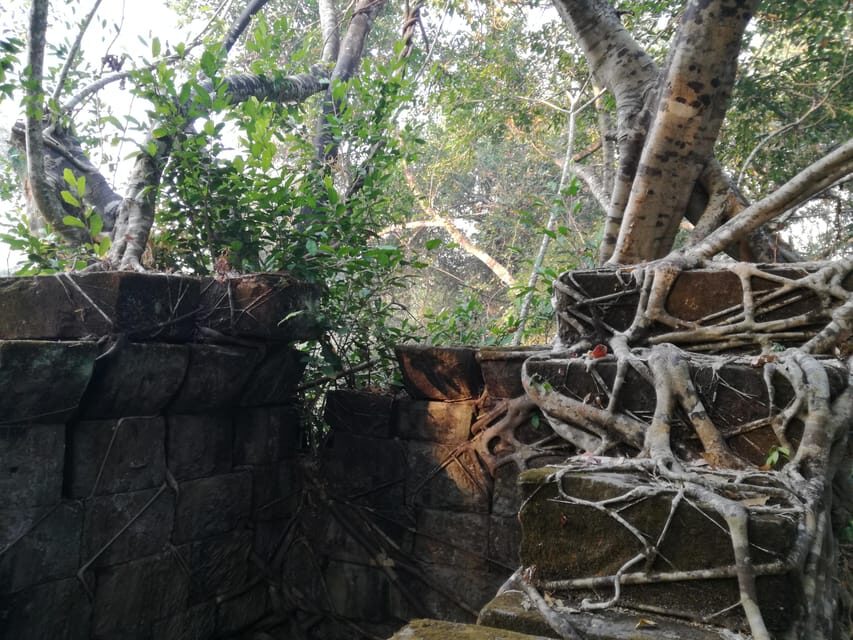 Angkor Temples Highlights Tour: 2 Days with Sunrise - Should you book this Angkor Temples Highlights Tour?