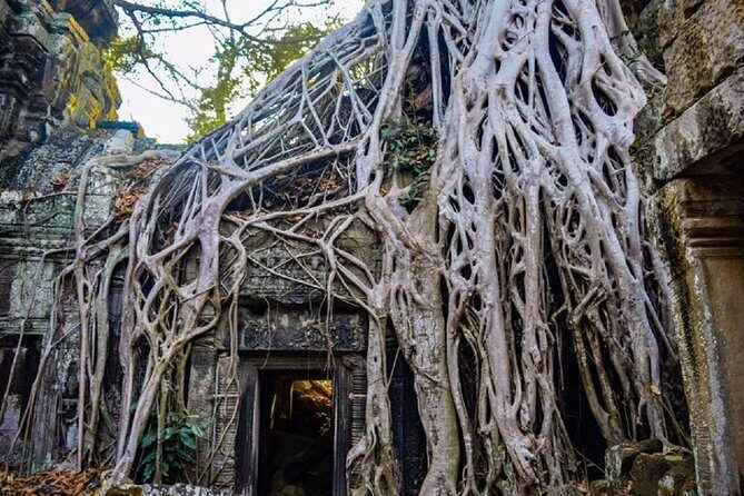 Angkor Wat 1Day Tour With Sunrise - Key Things That Make This Tour Worth Your Time
