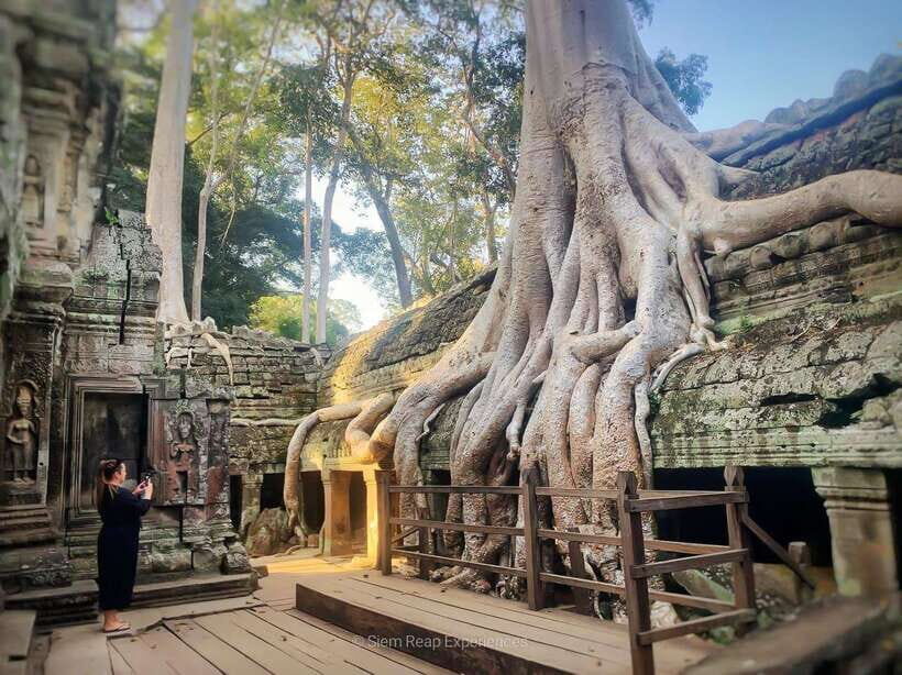 Angkor Wat 2-Day complex Sun rise & Sun set with Guided Tour - Day 2 Big Loop: Preah Khan to Phnom Bakheang Sunset (10:30am–7pm)