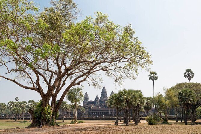 Angkor Wat, Angkor Thom & Elephant Terrace Half-Day Tours - Angkor Wat: the best-preserved temple gets 2 hours