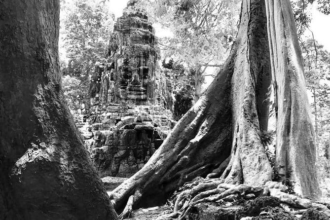 Angkor Wat & Banteay Srei 1-Day Tour - 5:00am Sunrise at Angkor Wat: where the day really starts
