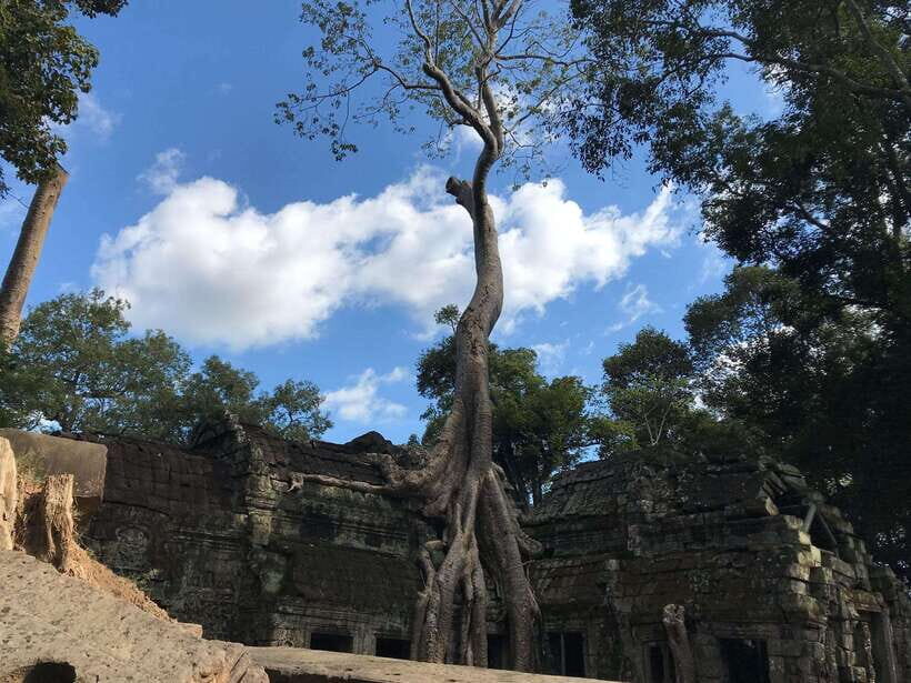 Angkor Wat by Vintage Jeep – Private Tour (Optional Sunrise) - Hotel pickup, cold towels, and what to bring for comfort