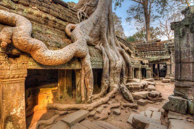 Angkor Wat Day Tours And Sunset - Ta Prohm: Tomb Raider energy without the long detour