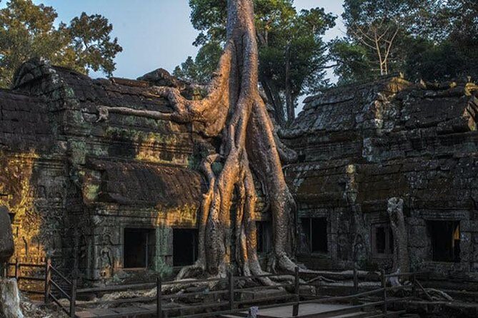 Angkor Wat highlight Tour From Sunrise -Small Group - Comfort and pacing: A/C van, water, towels, and small-group flow