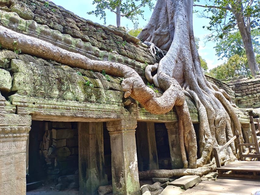 Angkor Wat: Highlights and Sunrise with Spanish Guide - Moving through the park, then back before lunch