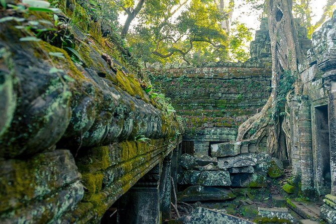 Angkor Wat Private Day Tour - Ta Prohm: the jungle temple experience, minus the stress