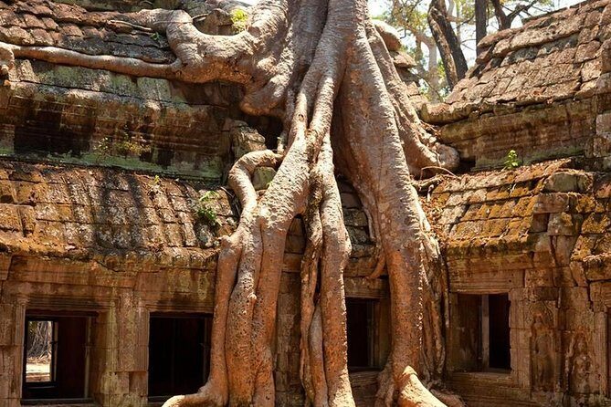 Angkor Wat Private Day Tour - Angkor Wat at sunset: the main event you’re scheduled for