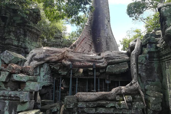 Angkor Wat Small Circuit Tour - Ta Prohm: the “Tomb Raider” temple and how to handle the short visit