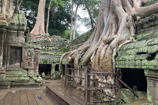 Angkor Wat Small Circuit Tour - Guide impact in real life: what Pat, Sophal, Pal Chen, Bunpheng, and Pheng bring