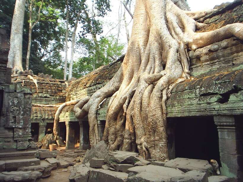 Angkor Wat: Small-Group Tour with Balloon Ride and Lunch - Angkor Thom: South Gate, 108 guardians, and the Bayon faces