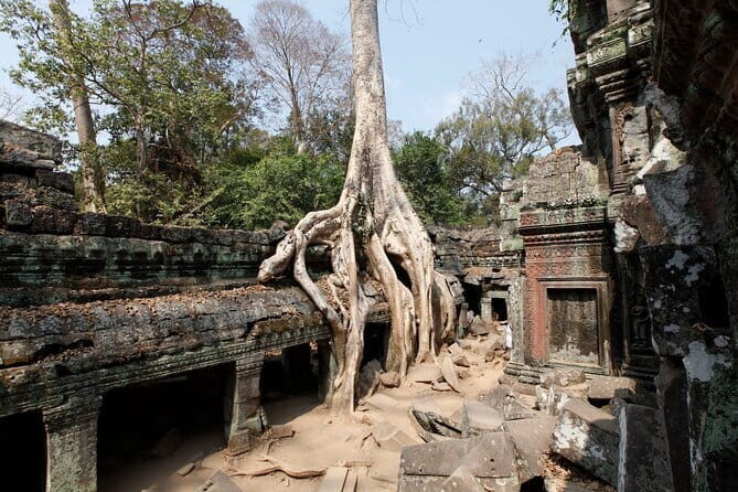 Angkor Wat & Small Tour with Bonteay Srei Temples - Banteay Srei: the delicate stop that feels built for close reading