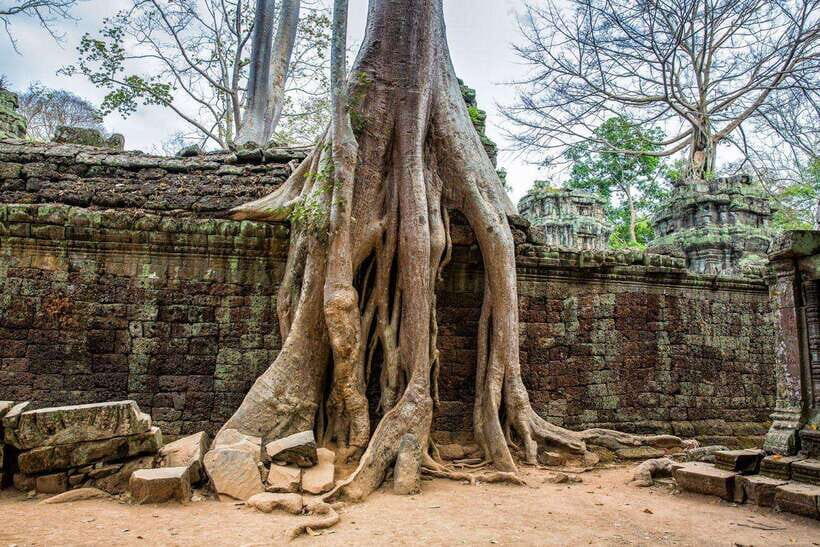 Angkor Wat Small Tour With Private Tuk Tuk - FAQ
