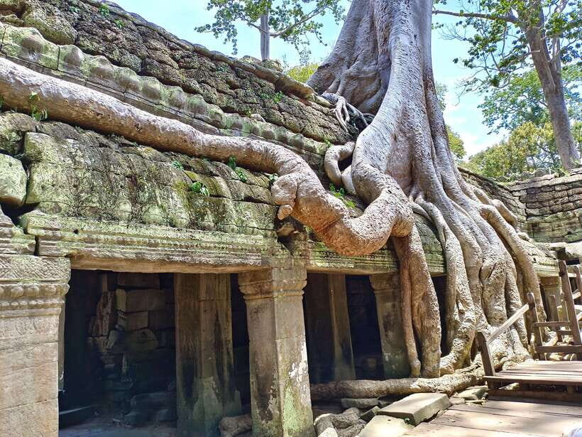 Angkor Wat: Sunrise 2.5 Days with Tonle Sap Lake Tour - What the small-group pace and private-style planning means for you