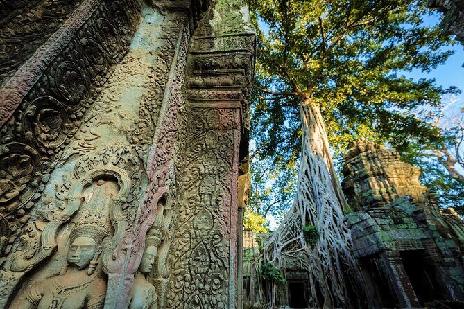 Angkor Wat Sunrise & All Highlight Angkor Temple Private Day Tour - Angkor Thom South Gate, Bayon, and the Main Temple Moves
