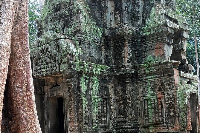 Angkor Wat Sunrise Experience – Ultimate 1-Day Guided Temple Tour - Breakfast Break Near Ta Prohm: A Useful Reset