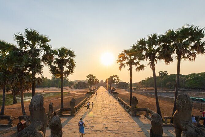 Angkor Wat Sunrise Guided Join-In Tour/Private Tour - Ta Prohm (the Tomb Raider temple): taking it in without rushing